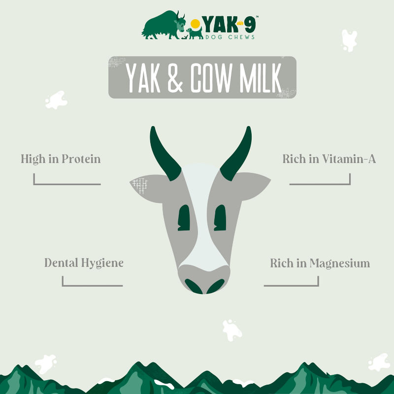 Yak-9 Dog Chew - Single -  image number 2