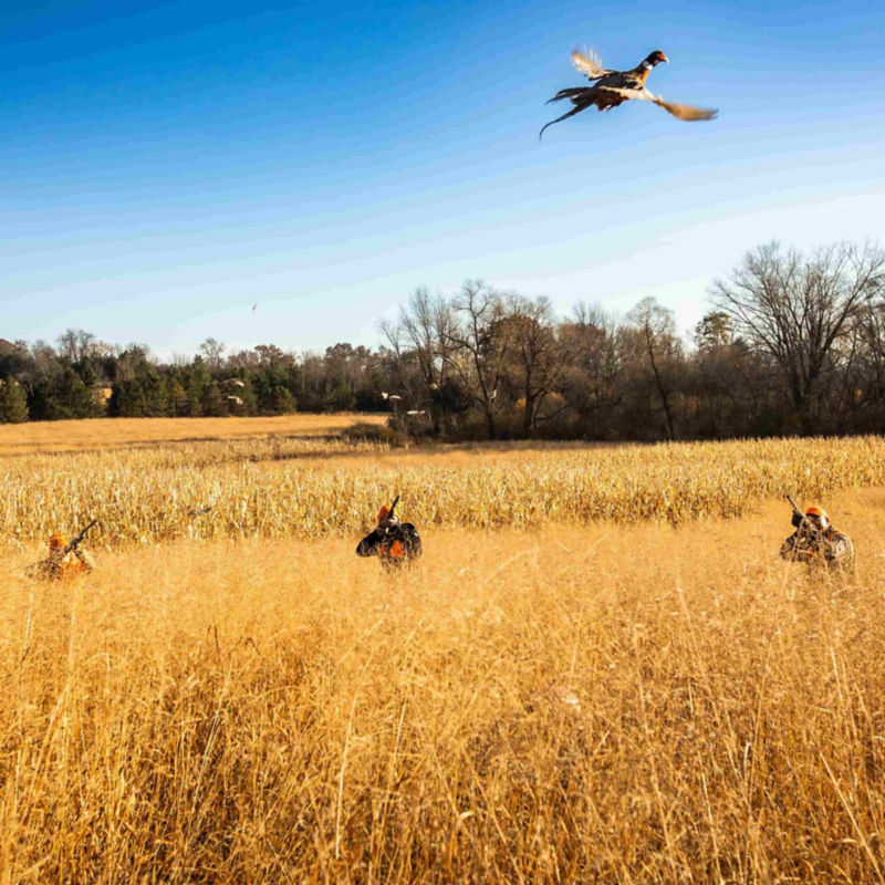 Milford Hills, WI -  image number 1