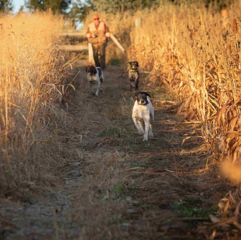 Milford Hills, WI -  image number 2