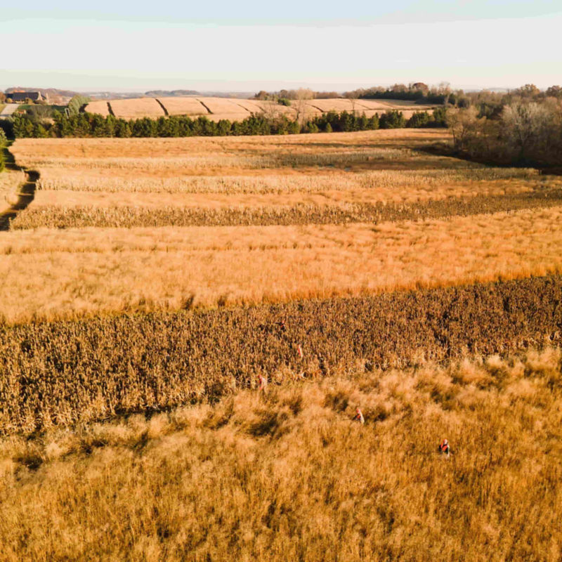 Milford Hills, WI -  image number 4