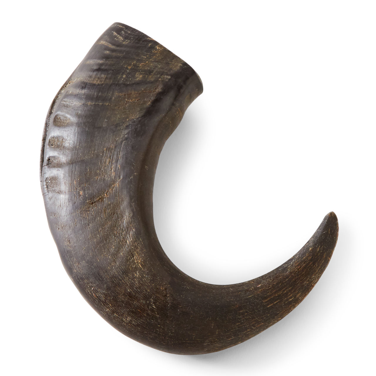 Water Buffalo Horn Dog Chew -  image number 0