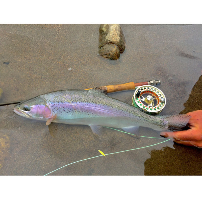 Koon Outfitters -  image number 7