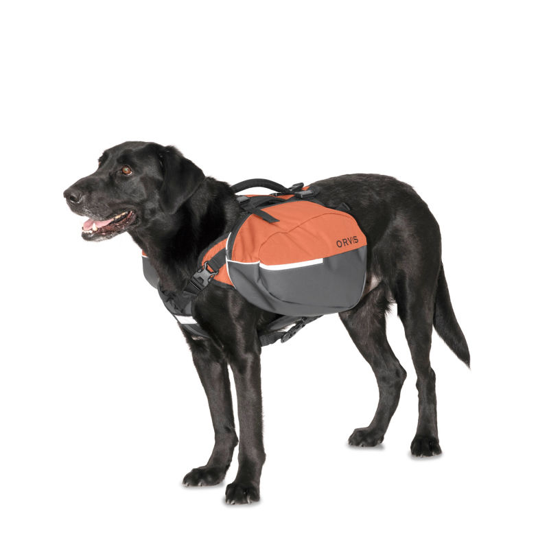 Saddle for Dogs 