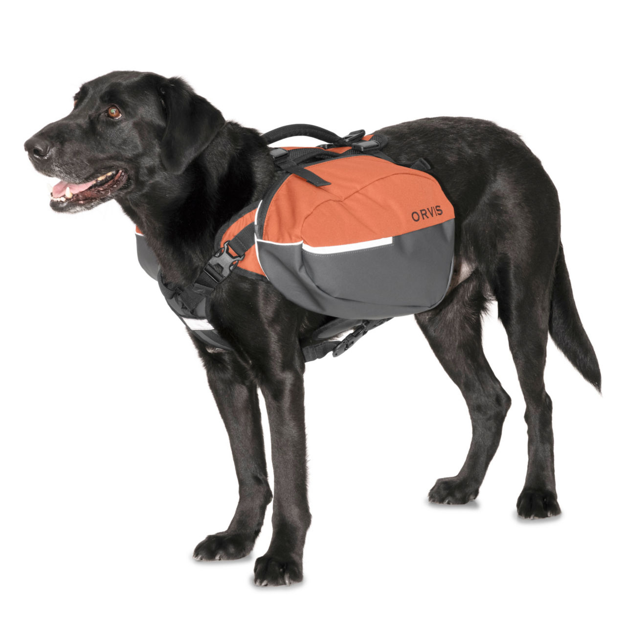 Tough Trail™ Dog Saddlebag -  image number 0
