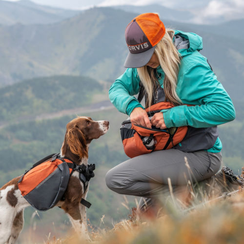 A dog wearing a pack on a hike with a woman on a mountainside