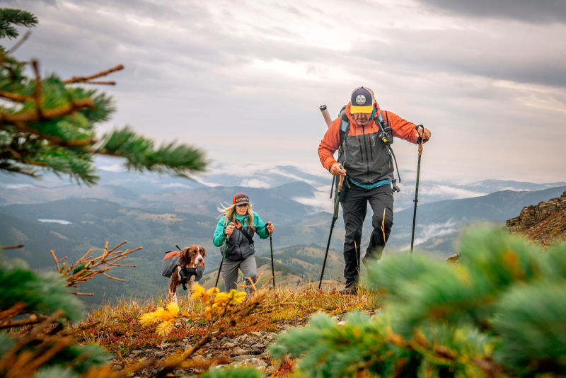 Two people and their dog hike up a mountain