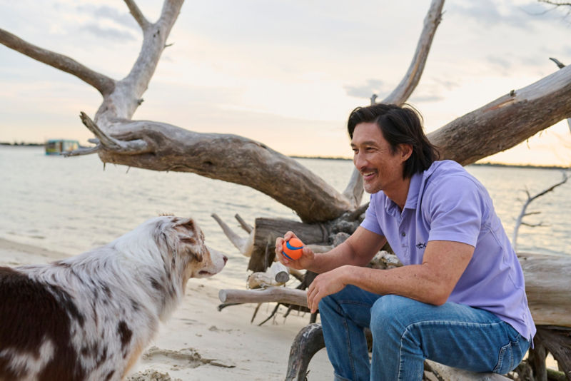 A man wearing a purple shirt at the beach throwing a ball to a white dog