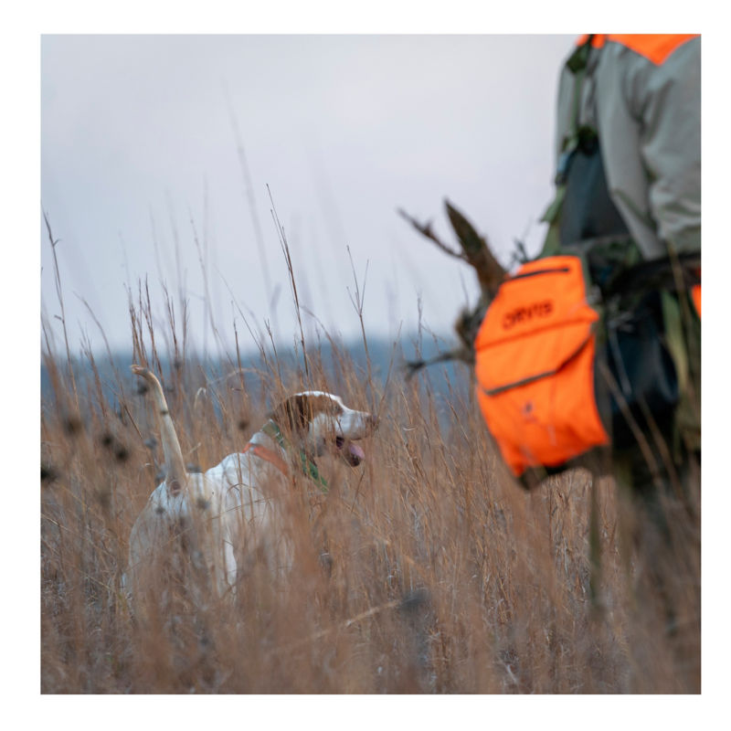 Flint Oak Endorsed Wingshooting Ranch, KS | Orvis