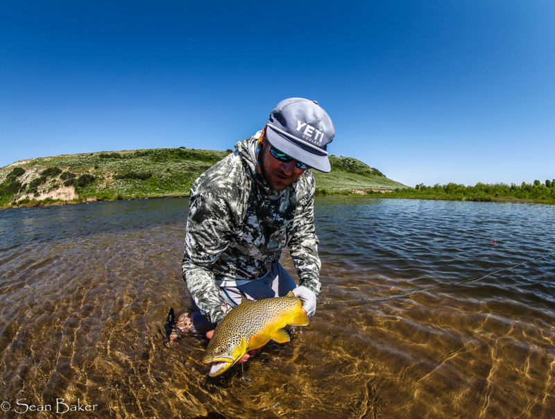 Wyoming Angling Company -  image number 7