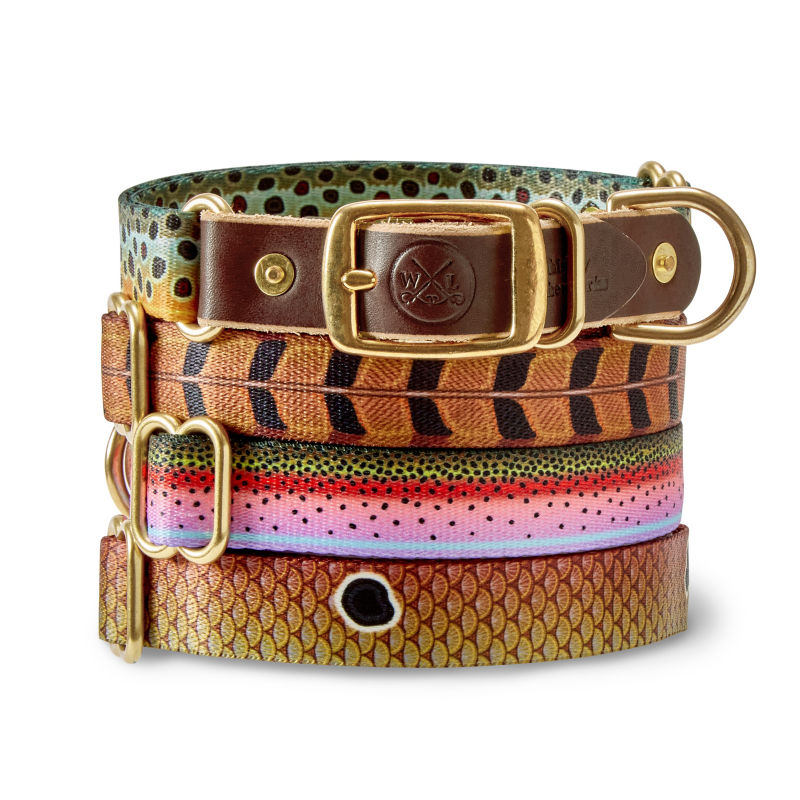 Orvis needlepoint 2024 dog collar