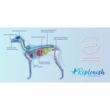 Replenish® Dog Water Supplements - image number 4
