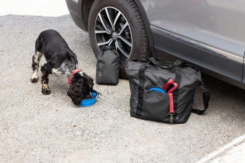 A dog eating out of a Travel Bowl with the Chuckwagon Travel Tote.