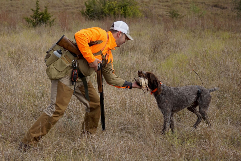 Jon Hubble Premier Wingshooting, TX - 