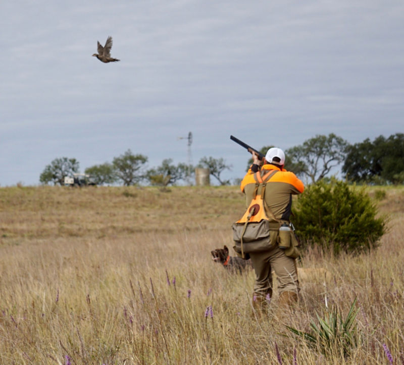 Jon Hubble Premier Wingshooting, TX -  image number 1