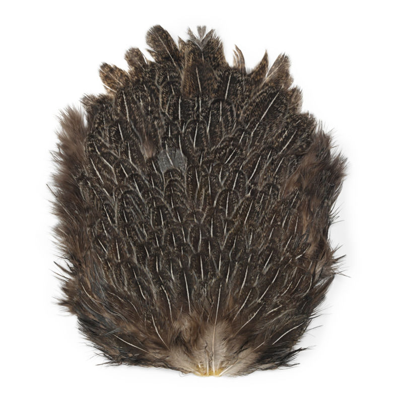 India Hen Backs - SPECKLED GRAY