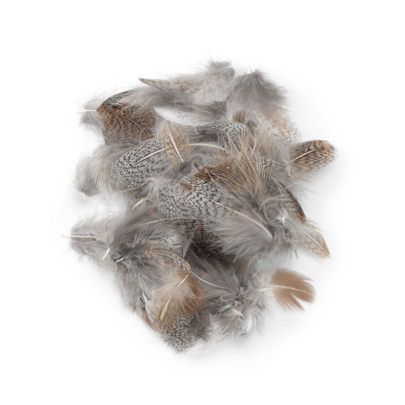 Hand-Selected European Partridge Feathers - NATURAL GRAY