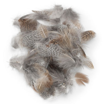 Hand-Selected European Partridge Feathers - 
