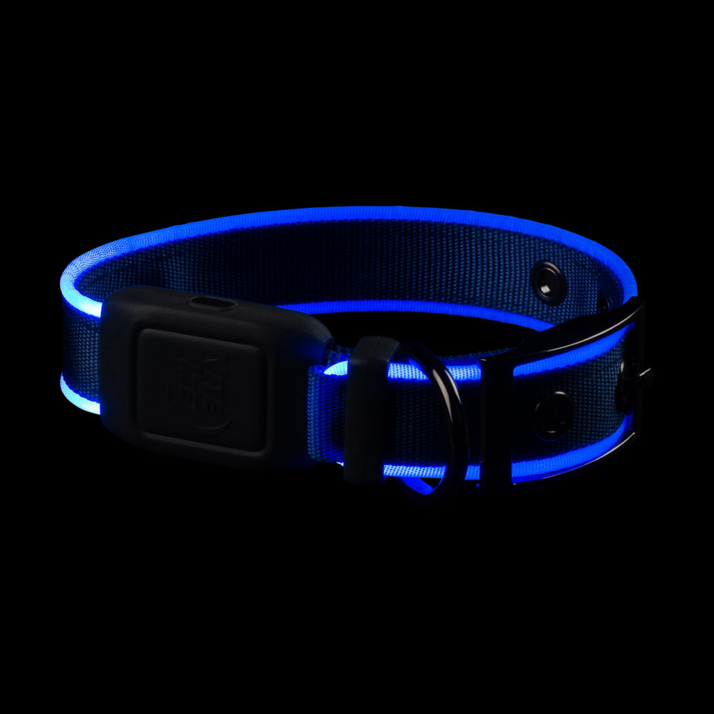 NiteDog® Rechargeable LED Dog Collar - BLUE image number 1