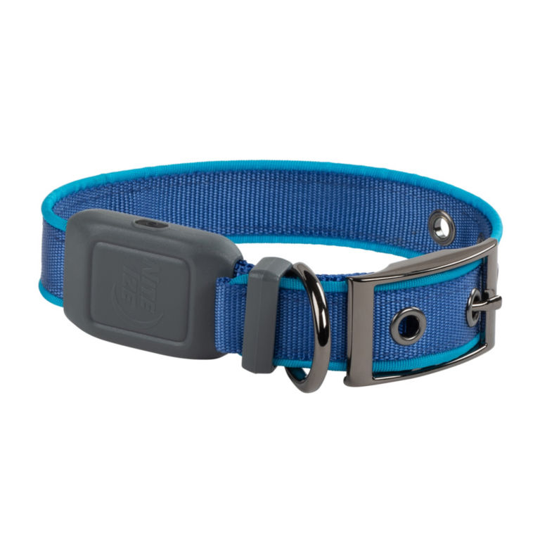 NiteDog® Rechargeable LED Dog Collar -  image number 0