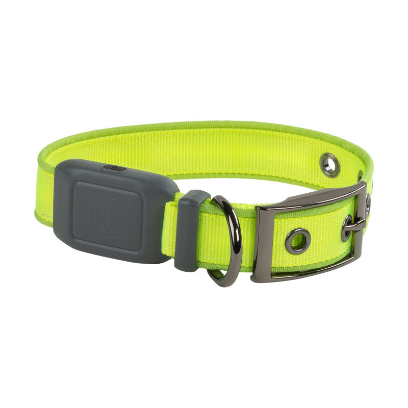 NiteDog® Rechargeable LED Dog Collar Orvis