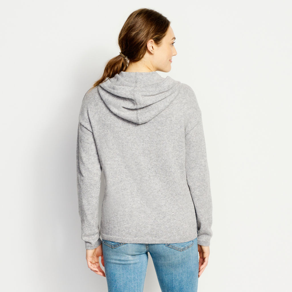 Classic Tipped Henley Hoodie -  image number 2