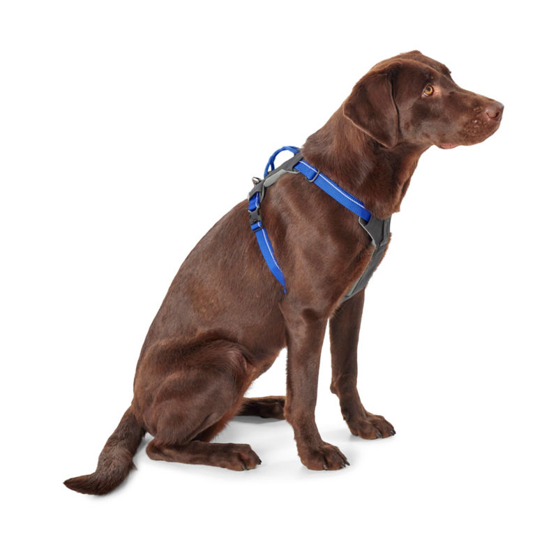 Tough Trail&reg; Four-Point Dog Harness - 