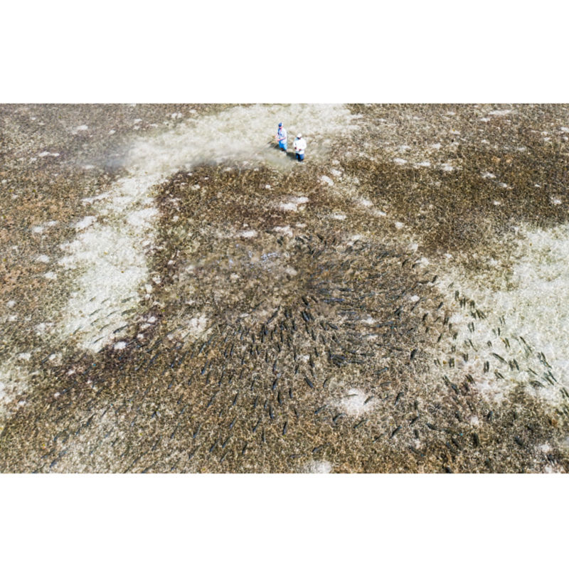 The Delphi Club -  image number 2