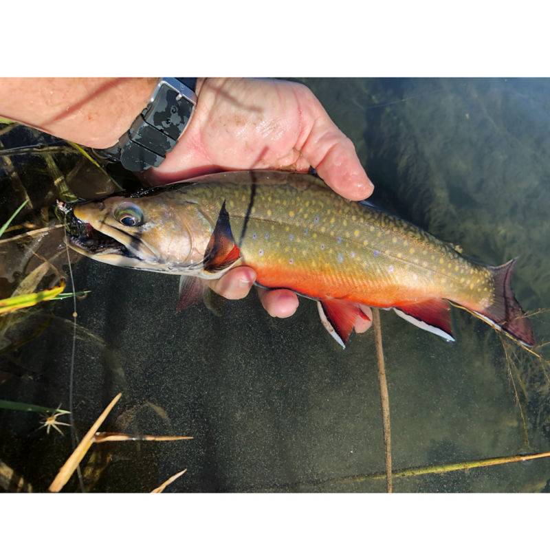 Craig Amacker, WI -  image number 2