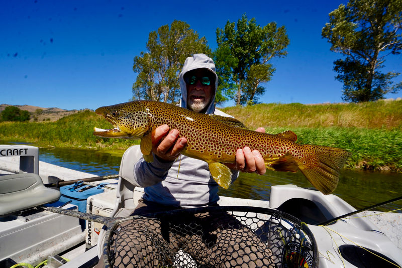 Channel & Brown Outfitting Company L.L.C. - 