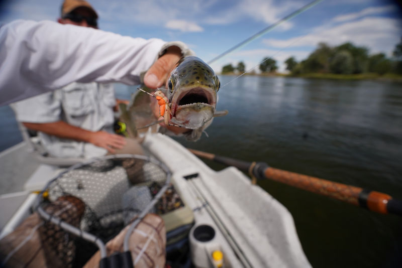 Channel & Brown Outfitting Company L.L.C. -  image number 3