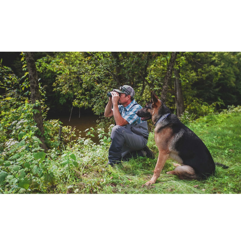 Brew Moscarello, VT -  image number 4