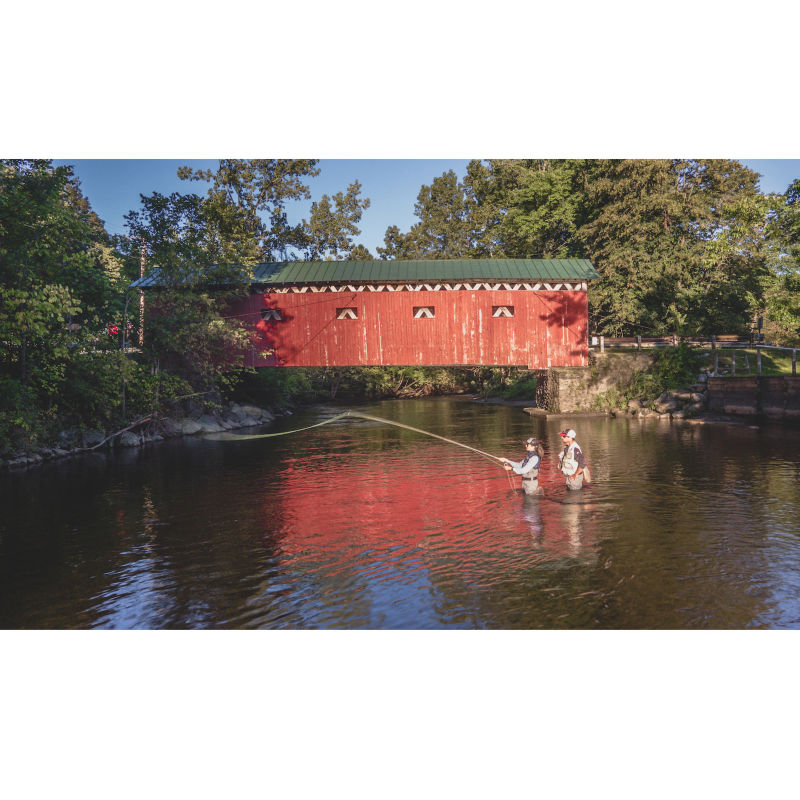 Brew Moscarello, VT -  image number 3