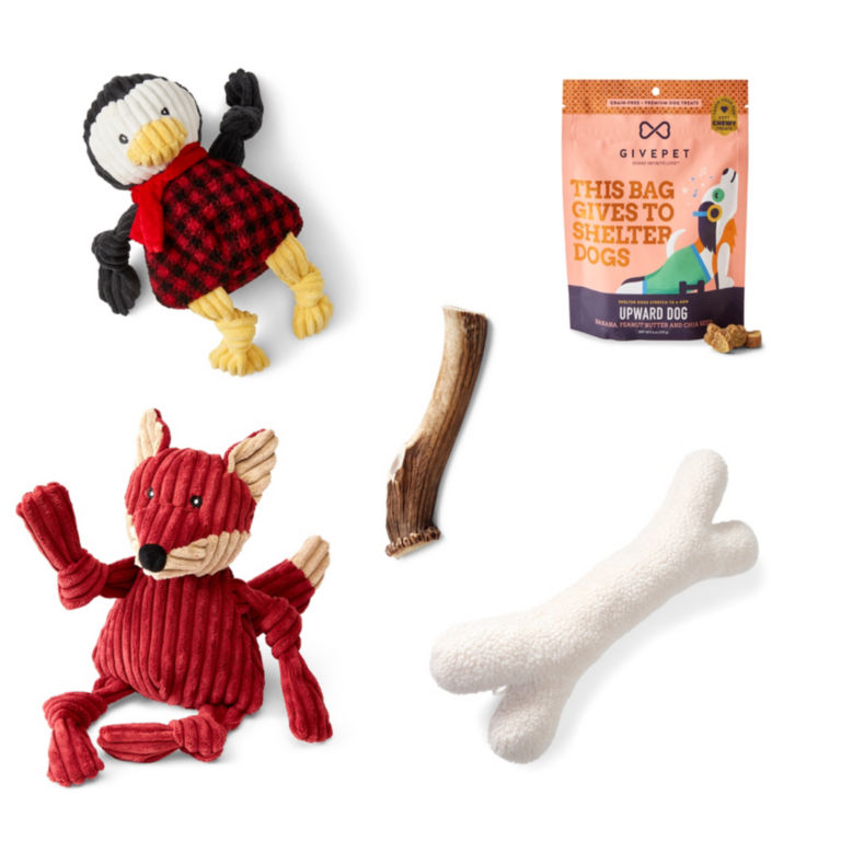 Holiday Toy & Treat Bundle for Larger Dogs -  image number 0