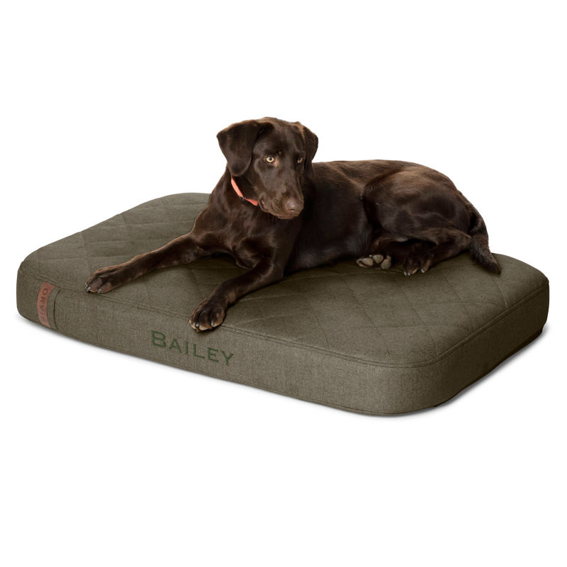 Orvis RecoveryZone&reg; Lounger Dog Bed - OLIVE image number 0