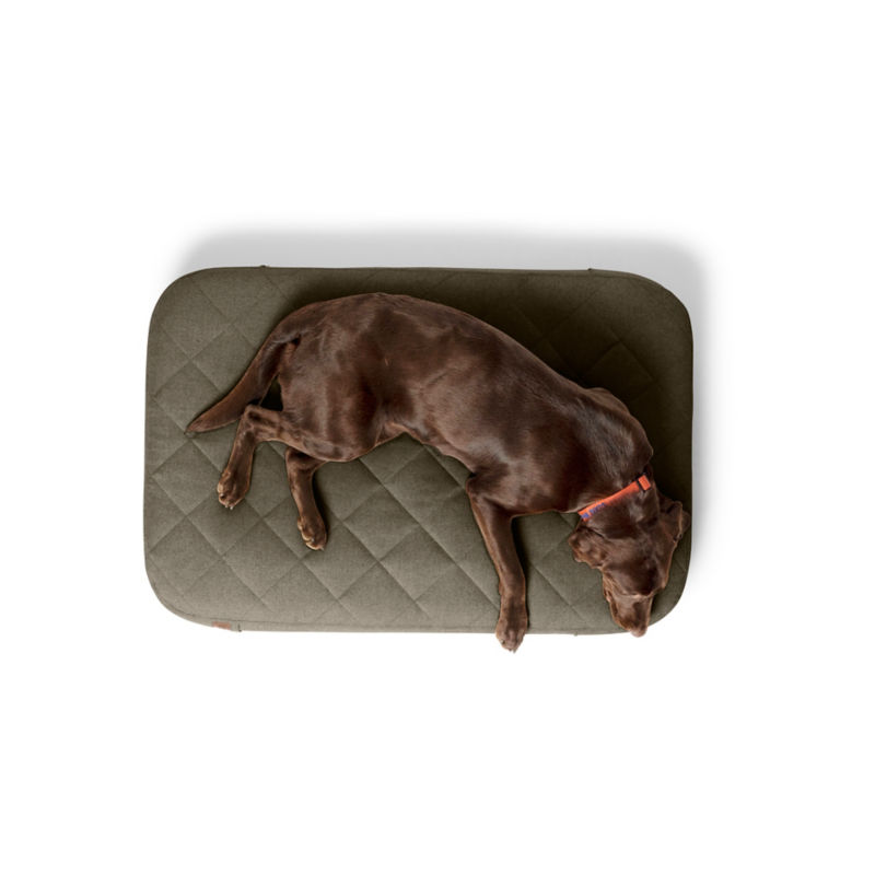 Orvis RecoveryZone&reg; Lounger Dog Bed - OLIVE image number 1