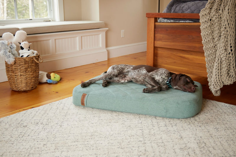 A German Short-Haired Pointer sleeps on a soft green Lounger Dog Bed.