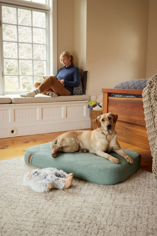 A blonde Labrador Retriever lays on a green lounger bed.