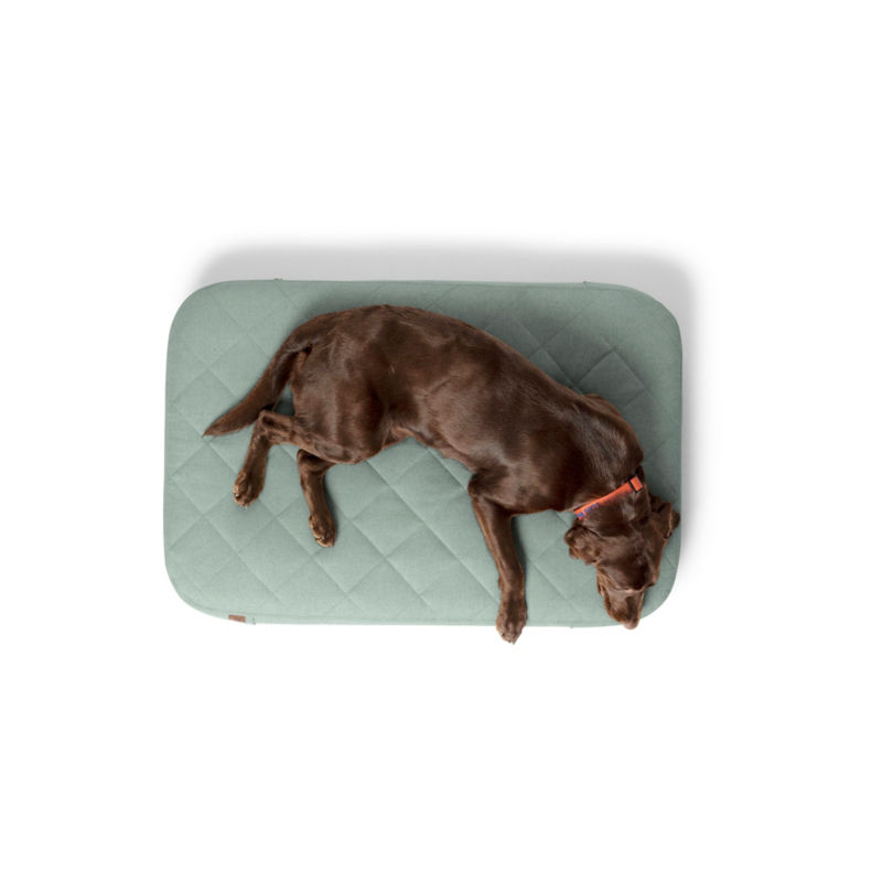 Orvis RecoveryZone&reg; Lounger Dog Bed - WASABI image number 1