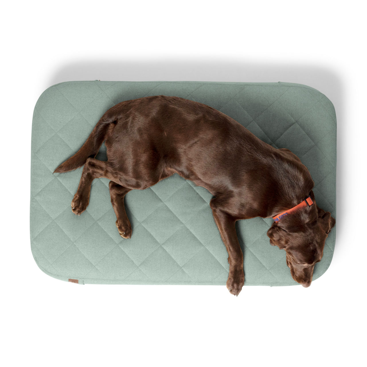 Orvis RecoveryZone™ Lounger Dog Bed -  image number 1