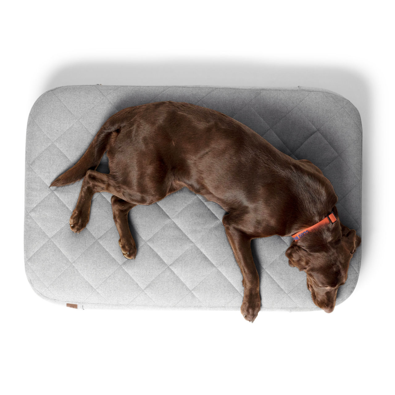 Orvis RecoveryZone® Lounger Dog Bed - GRANITE image number 1