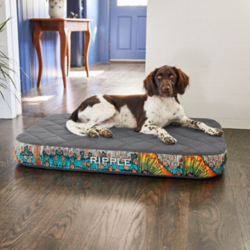 A dog relaxes on their RecoveryZone Dog Bed.