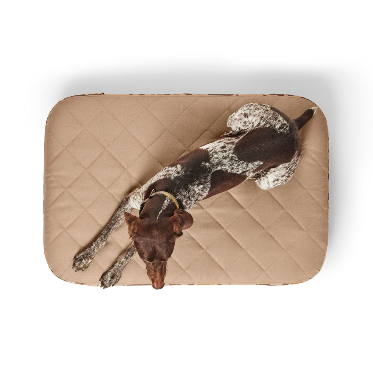 Orvis RecoveryZone® Lounger Dog Bed - 1971 CAMO image number 1