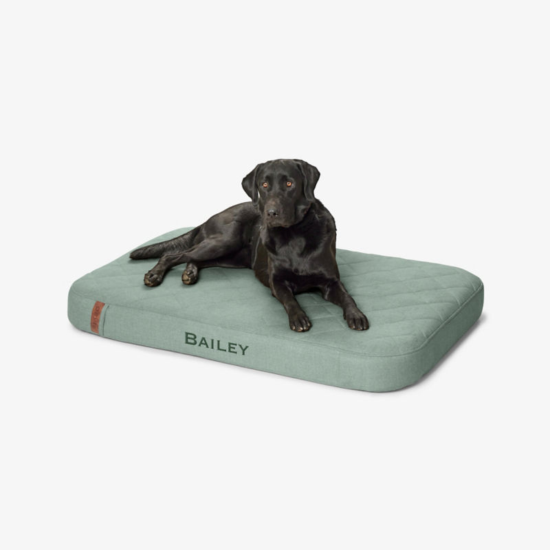 A black Labrador Retriever on a light green RecoveryZone Lounger Bed.