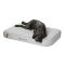 Orvis RecoveryZone® Lounger Dog Bed - GRANITE image number 0