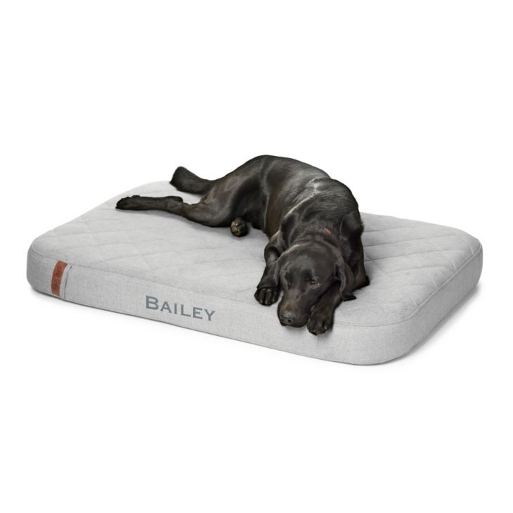 Orvis RecoveryZone® Lounger Dog Bed - GRANITE