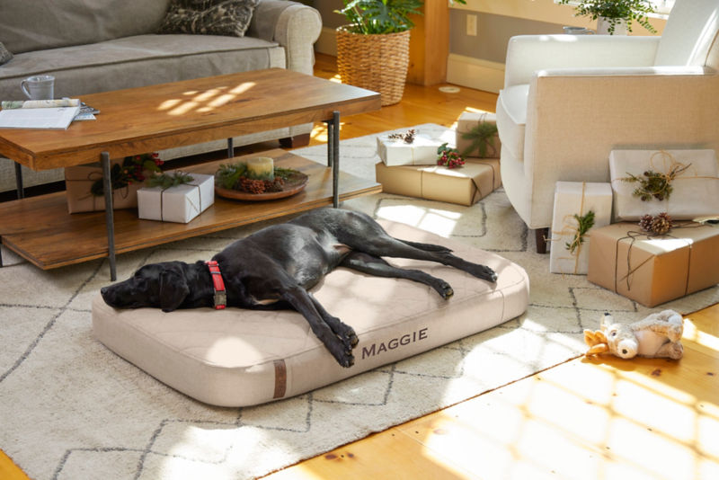 Orvis RecoveryZone&reg; Lounger Dog Bed - KHAKI image number 4