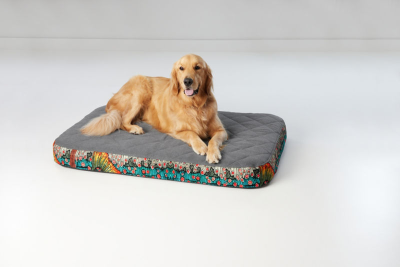 Orvis RecoveryZone® Lounger Dog Bed Orvis