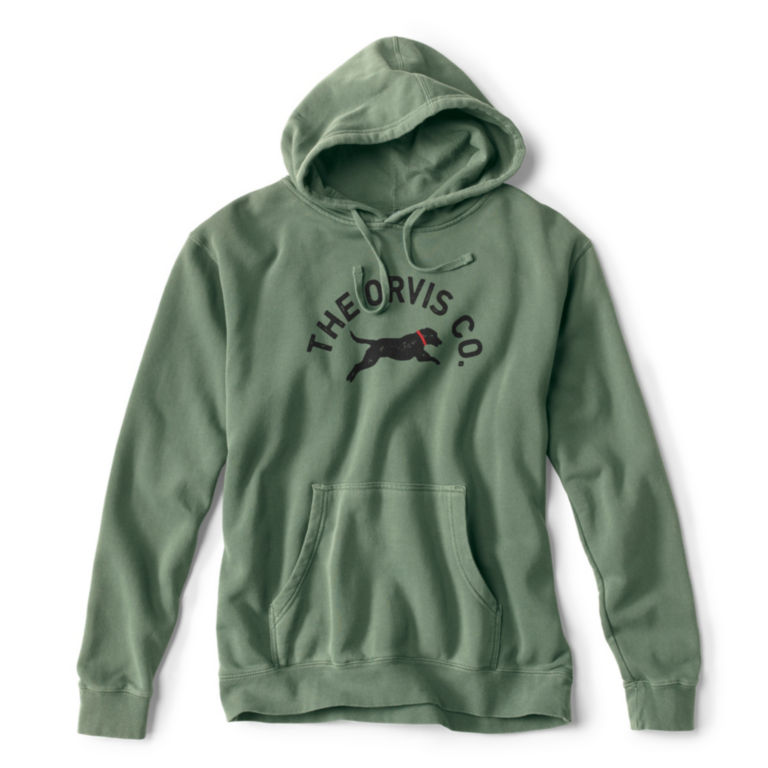 Jumping Dog Hoodie - GREEN image number 0