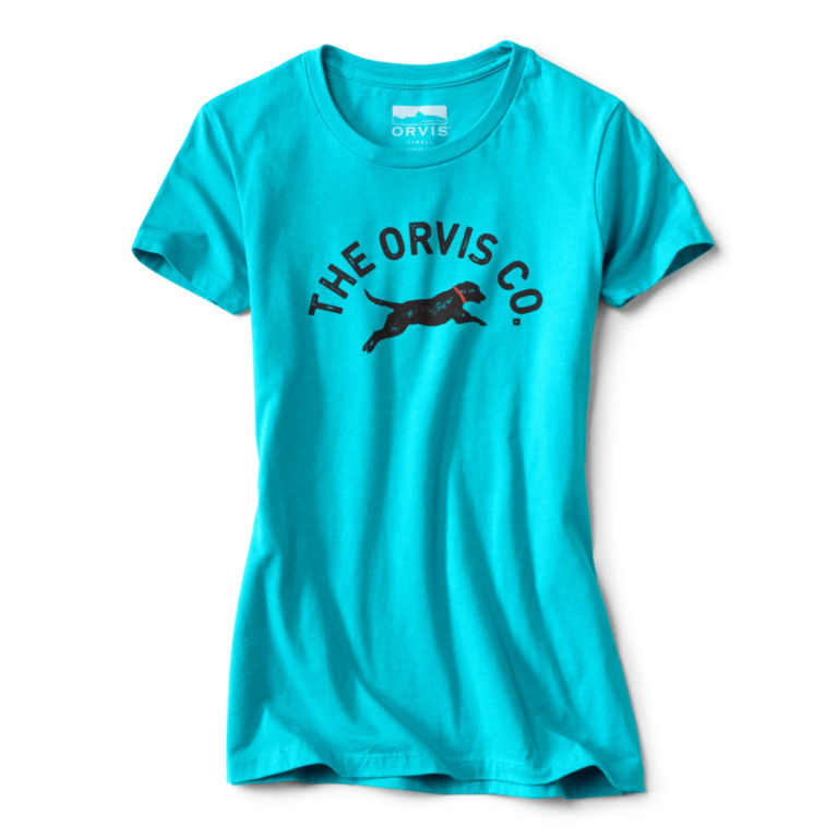 Women’s Jumping Dog Tee - BLUE image number 0