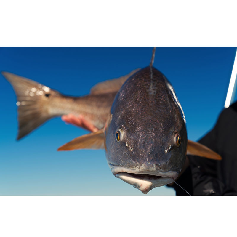 Capt. Michael Pittman -  image number 1